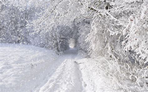 Unlocking the Secrets of Snow Storm Magic: A Beginner's Guide
